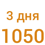 350 руб/сутки