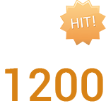 300 руб/сутки